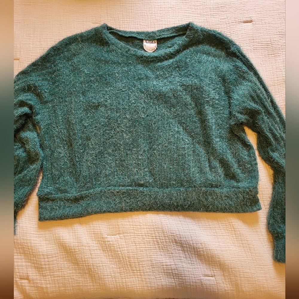 Arula Green Fuzzy Eyelash Cropped Sweater
